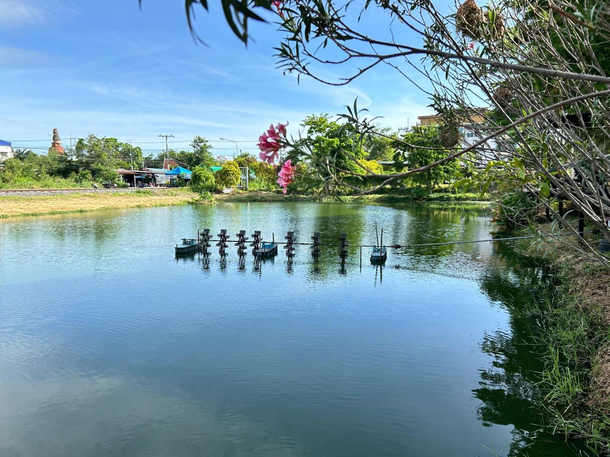 Dd Boutique Resort Ban Wat Pa Екстер'єр фото